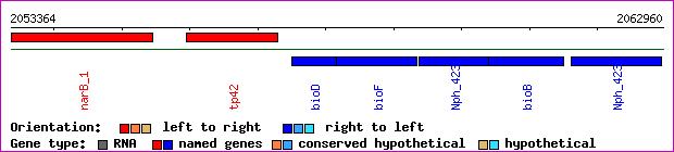 gene map
