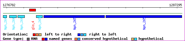 gene map