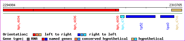 gene map