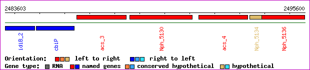 gene map