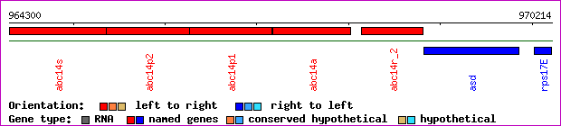 gene map
