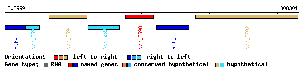 gene map
