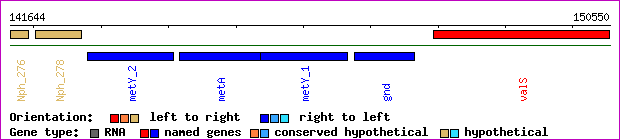 gene map