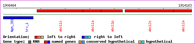 gene map