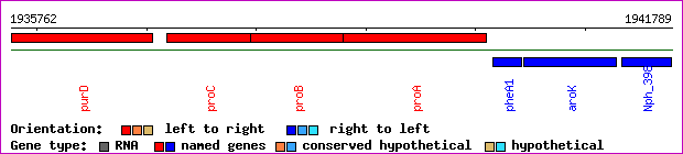 gene map