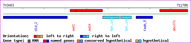 gene map