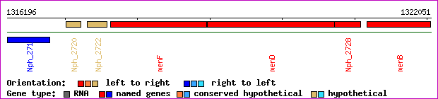 gene map