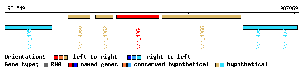 gene map