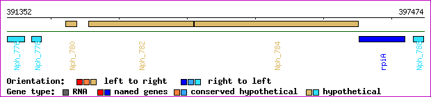 gene map