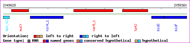 gene map