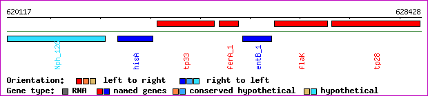 gene map