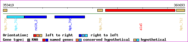 gene map