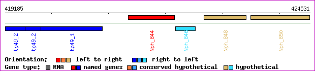 gene map