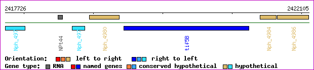 gene map