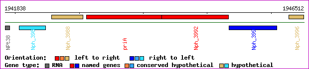 gene map