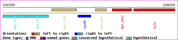 gene map