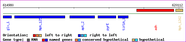 gene map
