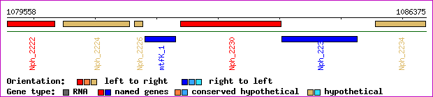 gene map