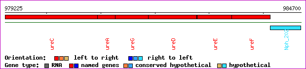 gene map