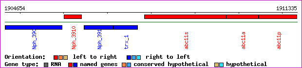 gene map