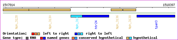 gene map