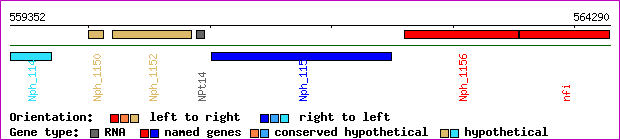 gene map