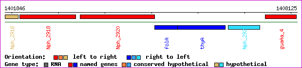 gene map