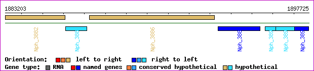 gene map