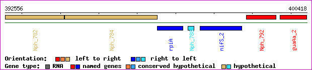 gene map