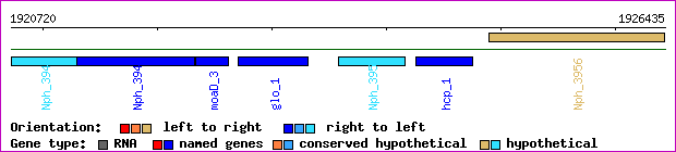gene map