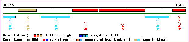 gene map
