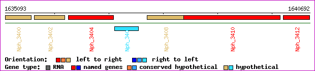 gene map