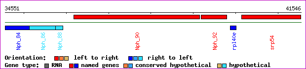 gene map