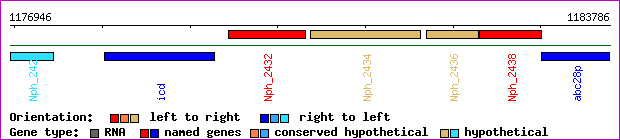 gene map
