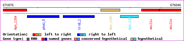 gene map
