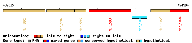 gene map