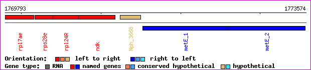 gene map