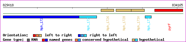 gene map