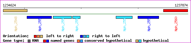 gene map
