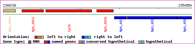 gene map