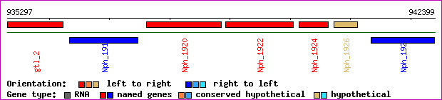 gene map