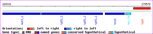 gene map