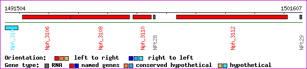 gene map
