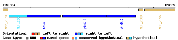 gene map