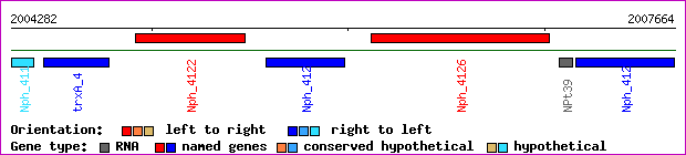 gene map