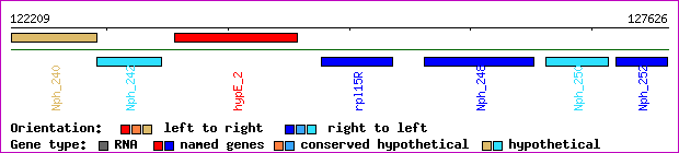 gene map