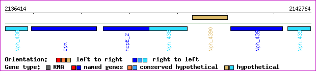 gene map