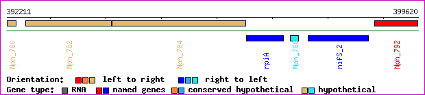gene map