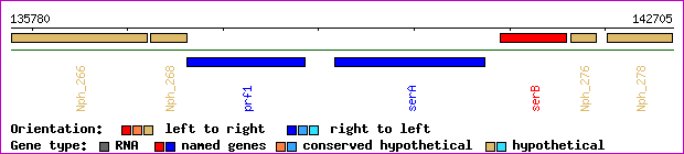 gene map