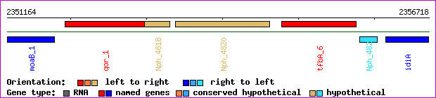 gene map